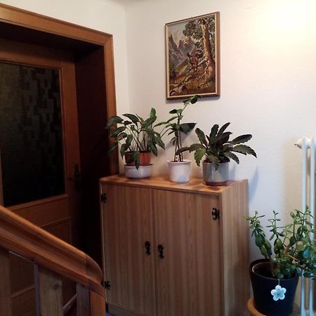 Haus Hubertusheim Apartment ชลัดมิง ภายนอก รูปภาพ