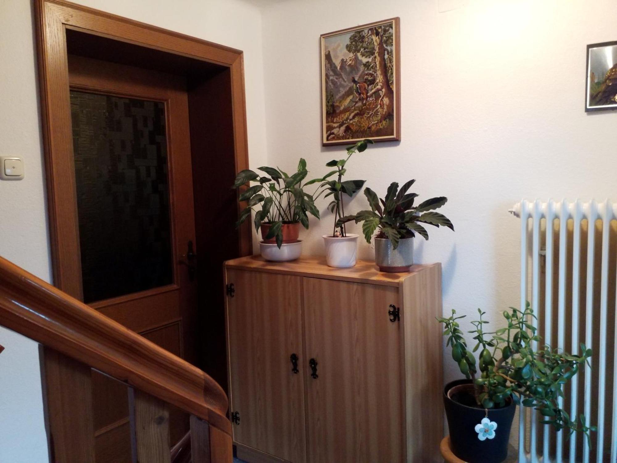 Haus Hubertusheim Apartment ชลัดมิง ภายนอก รูปภาพ